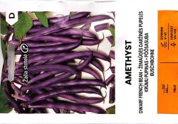French Bean Dwarf Amethyst Seed
